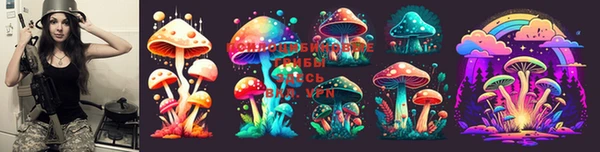стаф Елизово