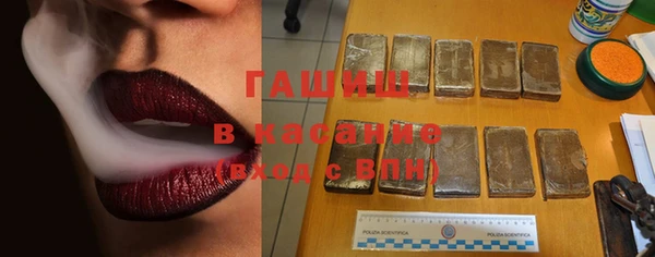 стаф Елизово