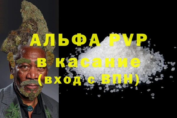 стаф Елизово