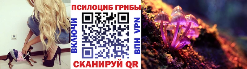Галлюциногенные грибы мухоморы Печоры